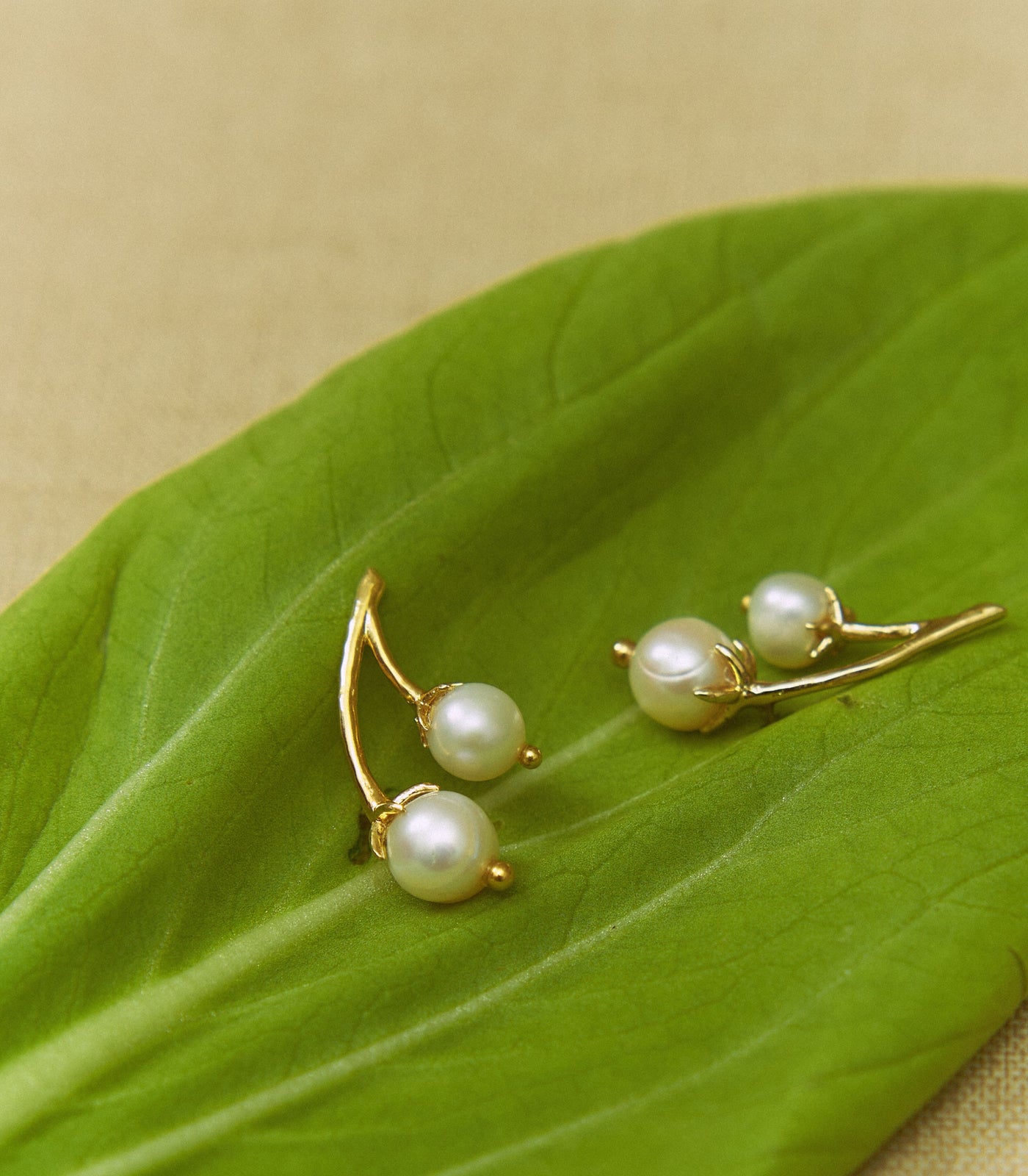 Ara Ear Crawlers in Pearl - Lily Jewelry