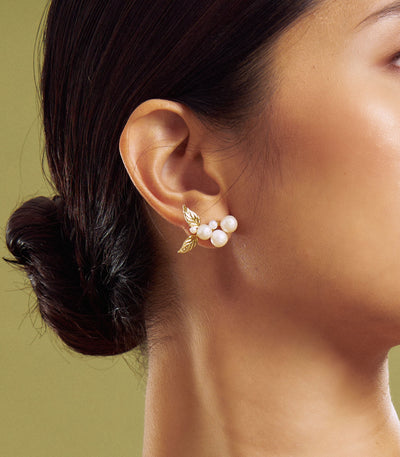 Ara Earrings in Pearl - Lily Jewelry